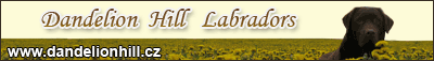 www.dandelionhill.cz 